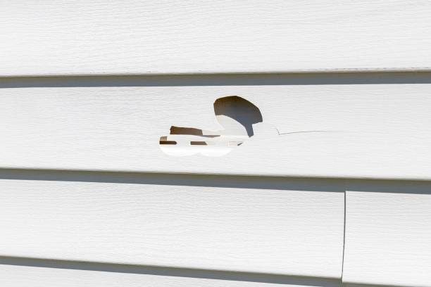 Affordable siding repair and maintenance services in Blackwood, NJ