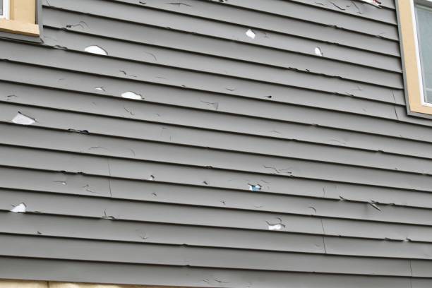 Best Aluminum Siding Installation  in Blackwood, NJ
